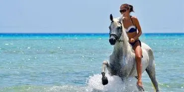 Horseback riding in Hurghada: Horseback riding on the beach or in the desert